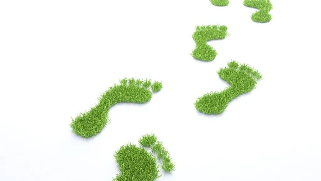 Grass footsteps moving forward